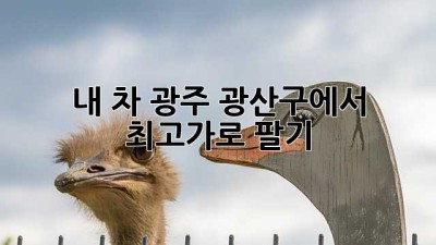 내 차, 광주 광산구에서 최고가로 팔기! 🚗💰