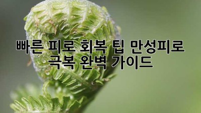 빠른 피로 회복 팁: 만성피로 극복 완벽 가이드